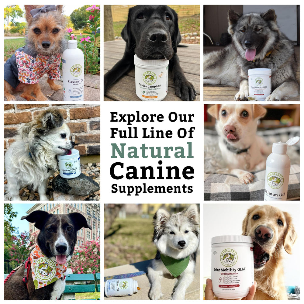 Wholistic Pet Organics Canine Complete organic ingredients support homemade diet nutrition