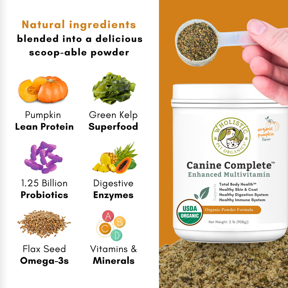 Wholistic Pet Organics Canine Complete pumpkin-digestive-health — pumpkin benefits for dogs' tummies.