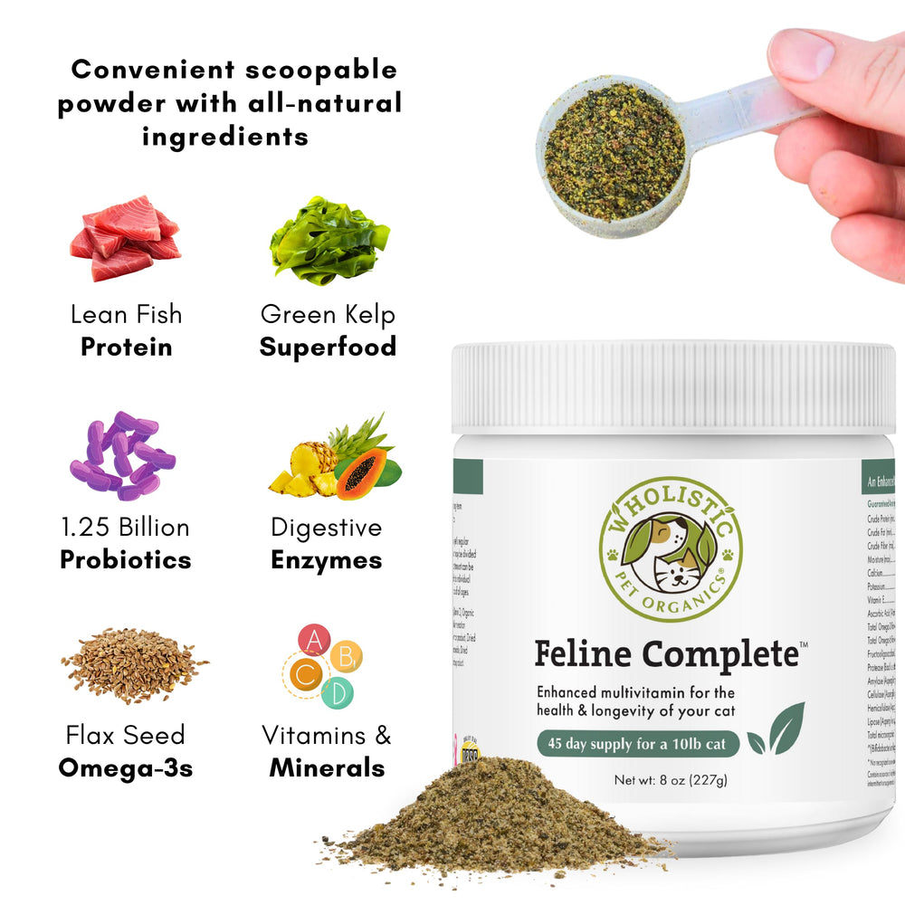 Wholistic Pet Organics Feline Complete coat glow visual for skin and coat health.