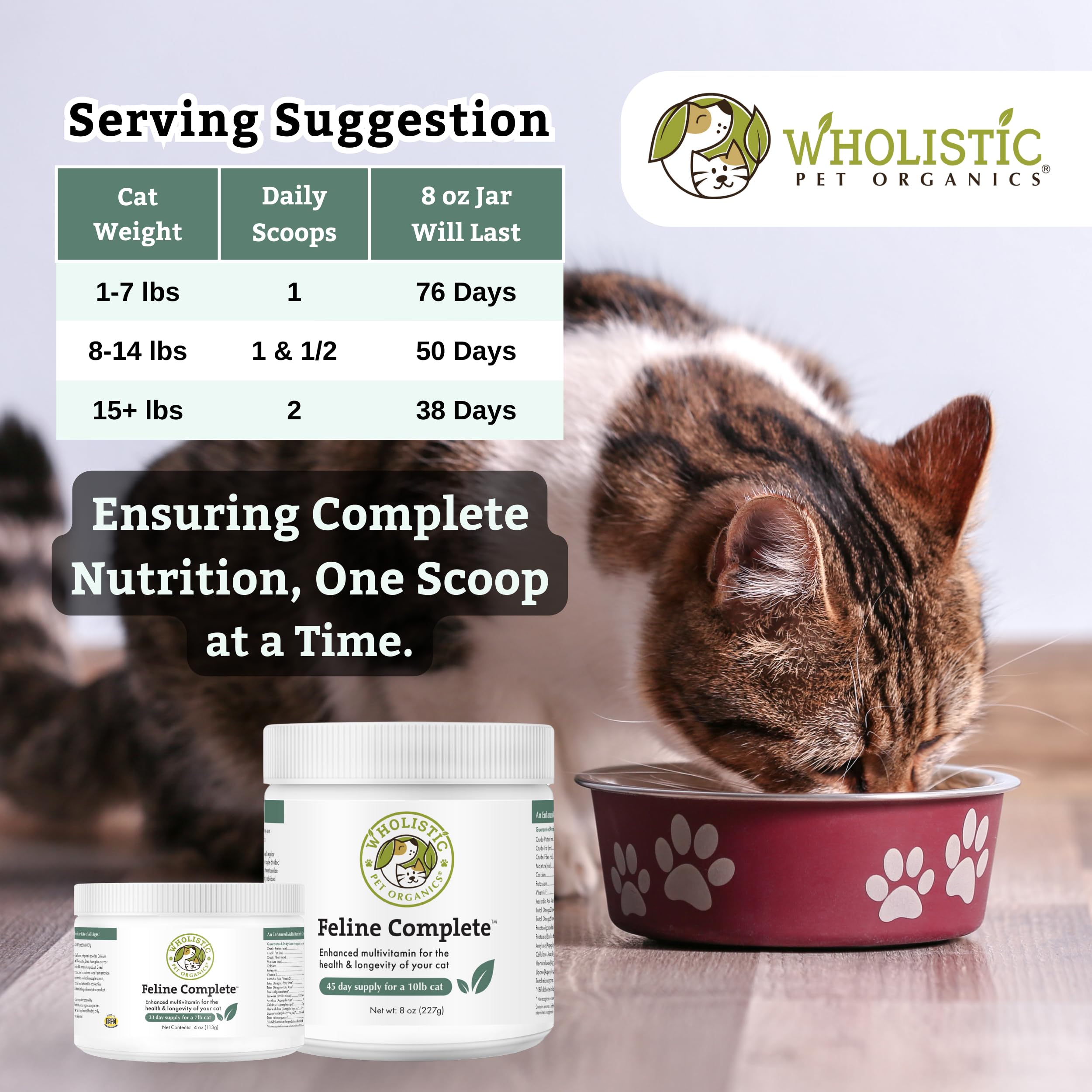 Wholistic Pet Organics Feline Complete digestive balance concept with food bowl.