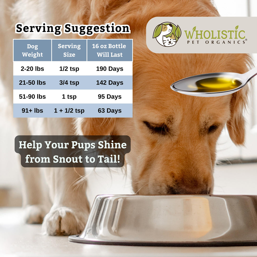 Wholistic Pet Organics flaxseed oil skin balance supports a healthy coat.