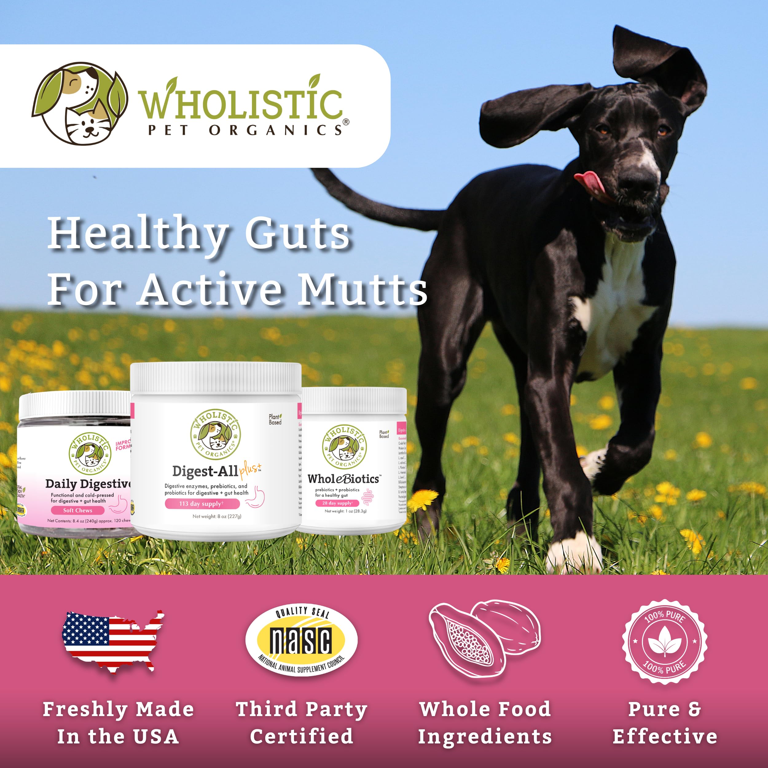 Wholistic Pet Organics 4 oz container provides ongoing gut support