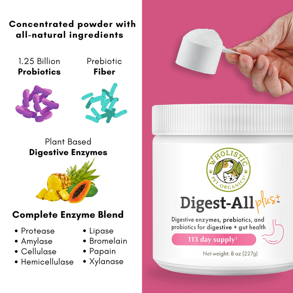 Wholistic Pet Organics probiotics support gut health in cats and dogs