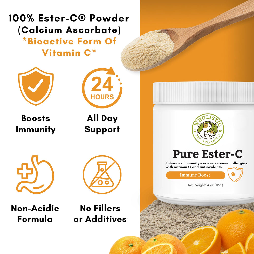 Wholistic Ester-C powder mixed into dog food supports skin and coat vitality
