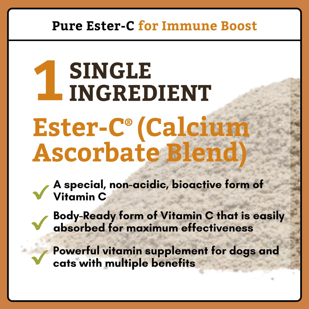 Wholistic Ester-C powder dissolving into dog meal for convenient immune support