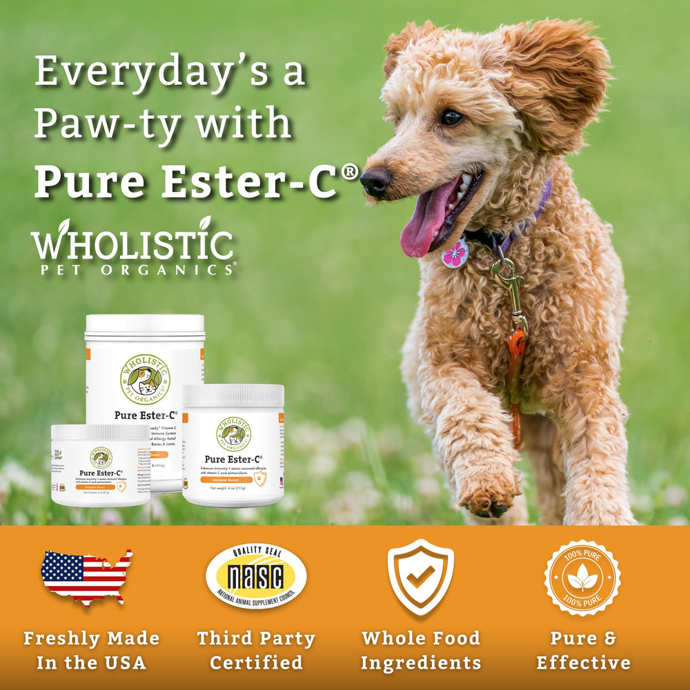Wholistic Ester-C powder may promote a healthy coat and itch relief in dogs