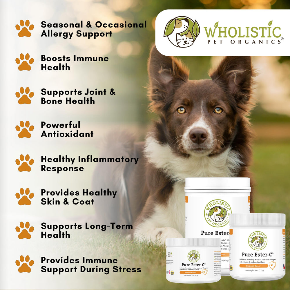 Wholistic Ester-C label closeup highlights vitamin C benefits for dogs