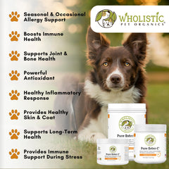 Wholistic Ester-C label closeup highlights vitamin C benefits for dogs