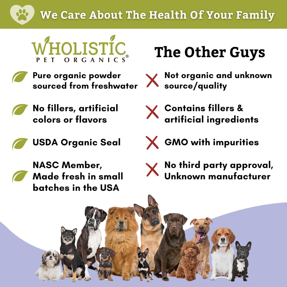 Wholistic Pet Organics Spirulina in bowl shows powder being mixed into dog food.