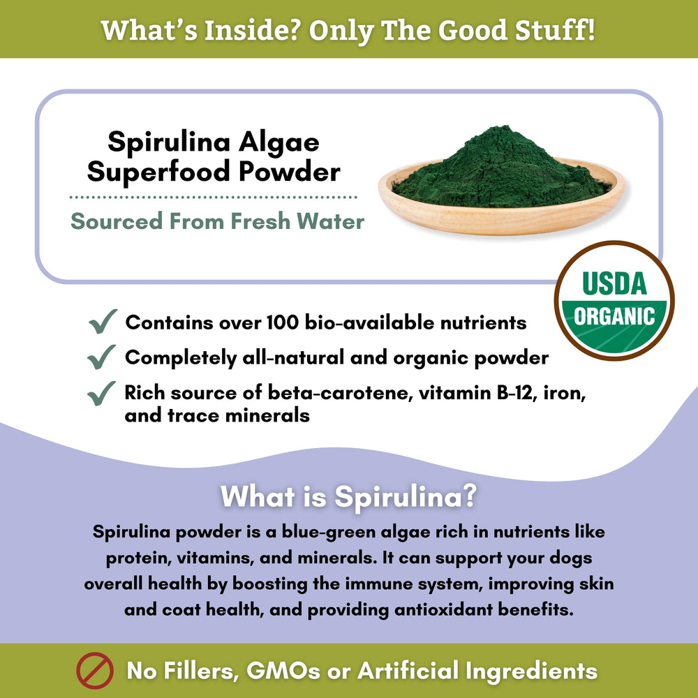 Wholistic Pet Organics Spirulina powder macro shot emphasizes natural green color.