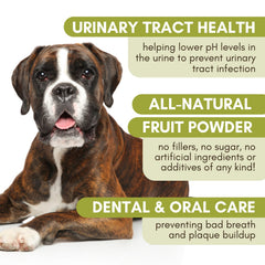 Wholistic Pet Organics WholeCran Intense cranberry powder close-up showing natural berries for urinary support.