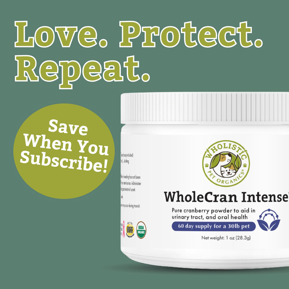 Wholistic Pet Organics WholeCran Intense cranberry powder with scoop for easy daily dosing.