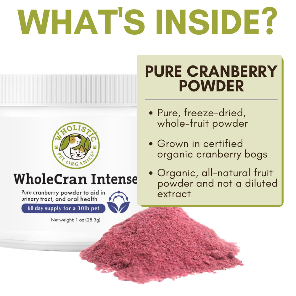 Wholistic Pet Organics WholeCran Intense dog being fed powder over a meal.