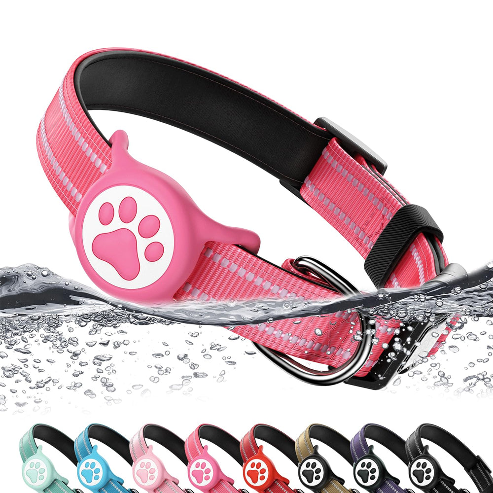 WhoseID Airtag dog collar close-up shows durable nylon and integrated AirTag holder for adventures.