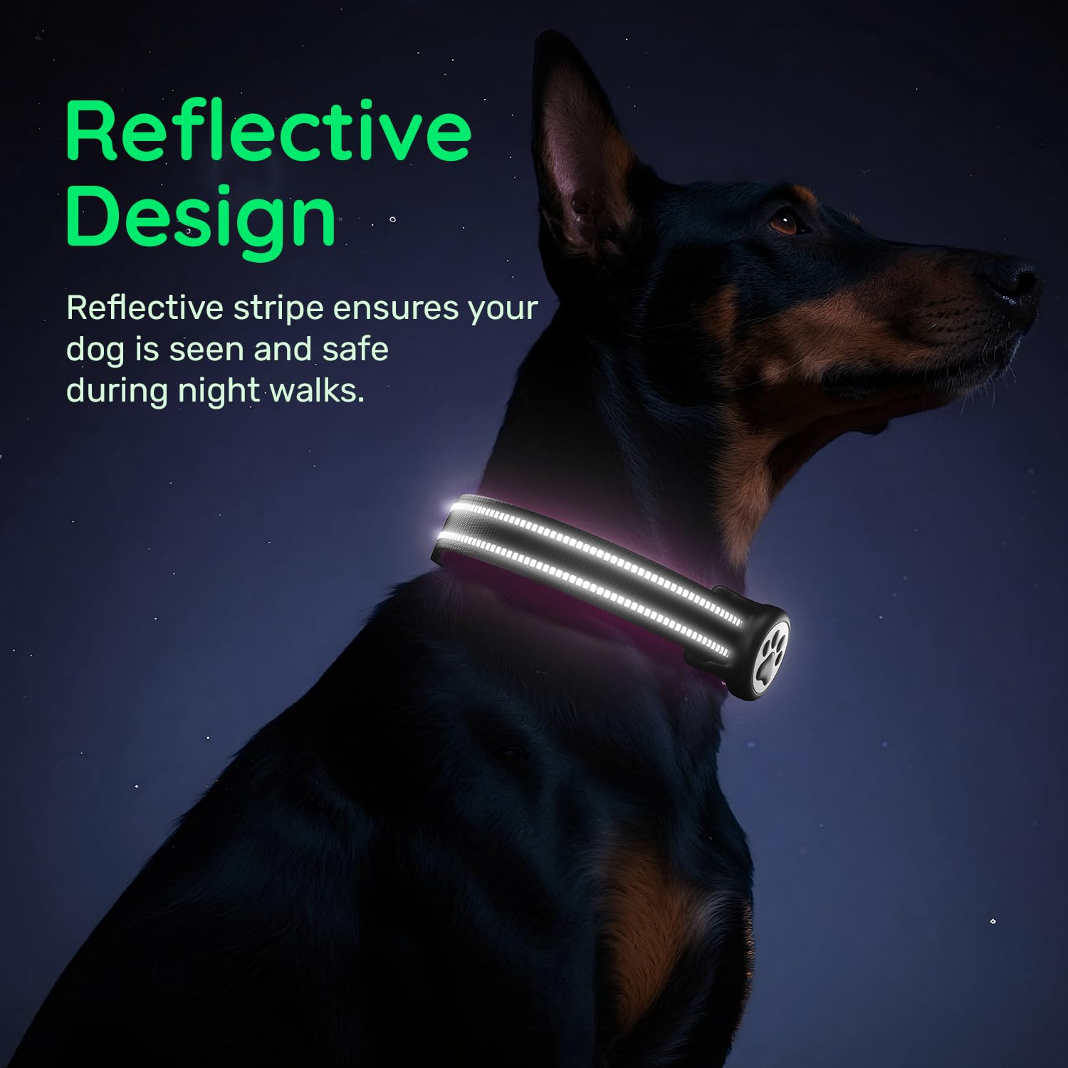 WhoseID Airtag Collar D-ring leash attachment for easy leash connection