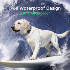WhoseID lockable waterproof Airtag case protects during rain and swims.