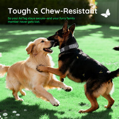 WhoseID neoprene lining keeps your dog comfortable and prevents chafing.