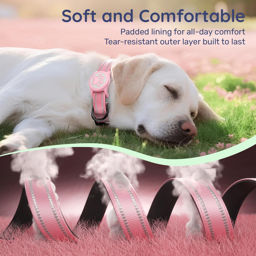 WhoseID padded neoprene lining adds comfort during daily walks and adventures