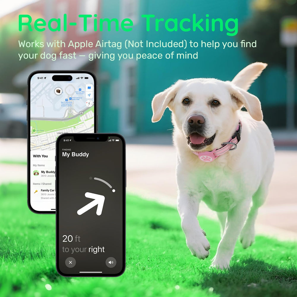 WhoseID reflective nylon collar with high-visibility strips supports safe nighttime walks