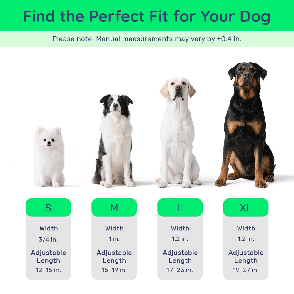 WhoseID waterproof chew-resistant design supports outdoor adventures.