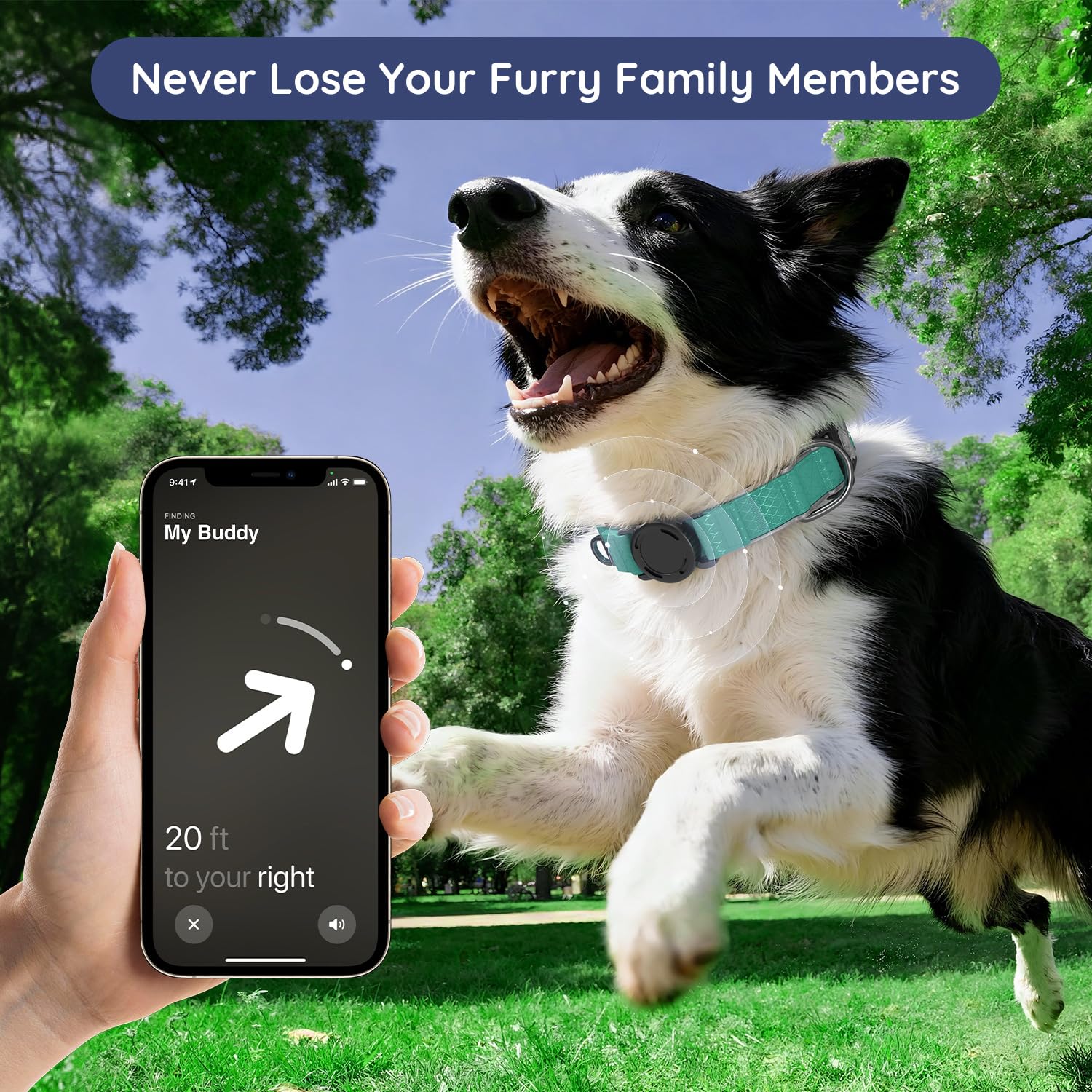 WhoseID Airtag dog collar reflective stitching boosts visibility on night walks