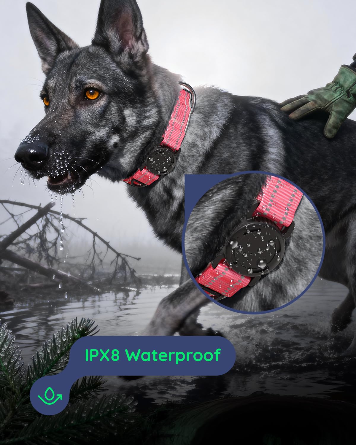 WhoseID Airtag Dog Collar reflective-strips highlight nighttime visibility for safer walks.