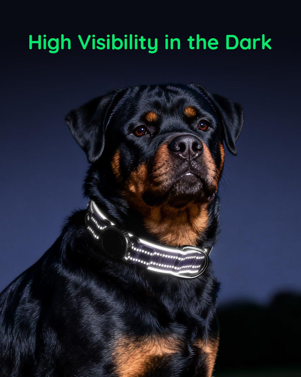 WhoseID Airtag Dog Collar reflective strips boost nighttime visibility