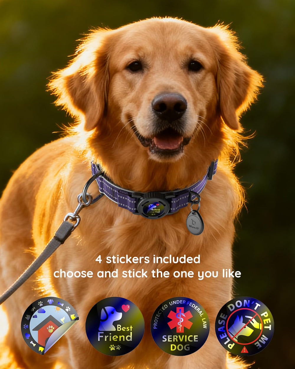 WhoseID Airtag Dog Collar small D-ring for tags