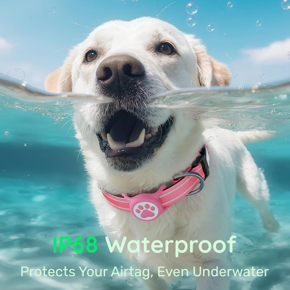 WhoseID AirTag holder assembly demonstrates waterproof two-case setup for outdoor water activities.