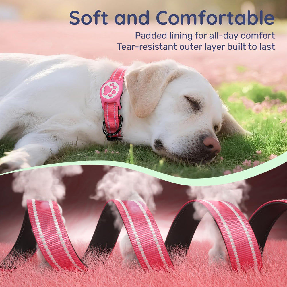 WhoseID d-ring and leash attachment shows easy leash connection.