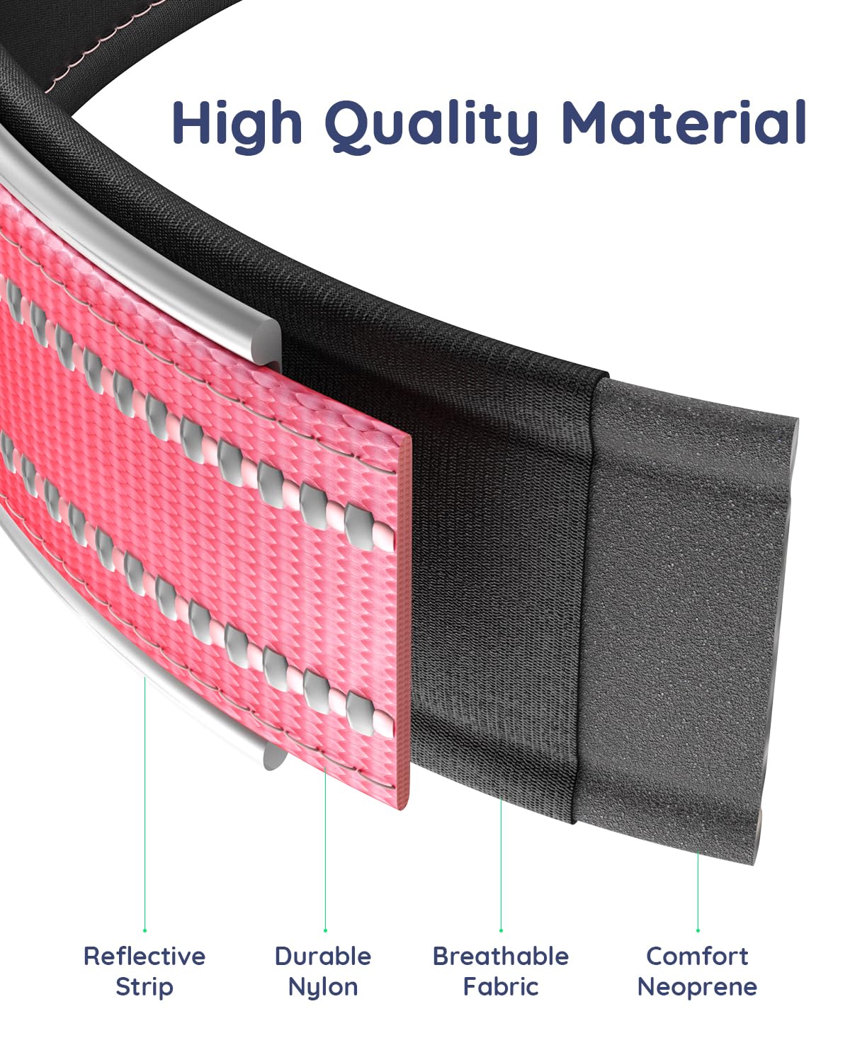 WhoseID Airtag Dog Collar large-d-ring for leashes.