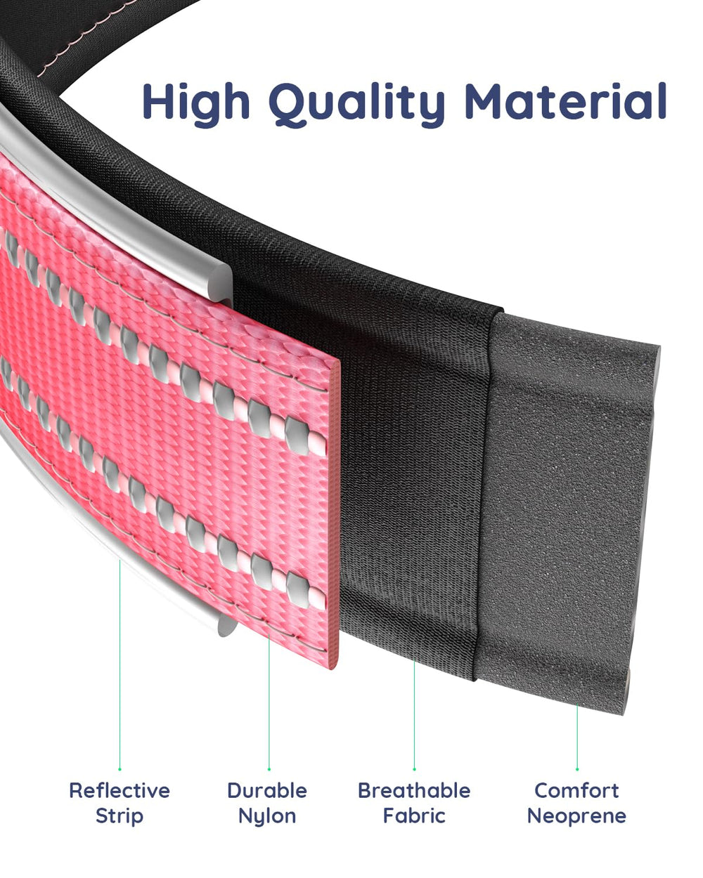 WhoseID Airtag Dog Collar large-d-ring for leashes.