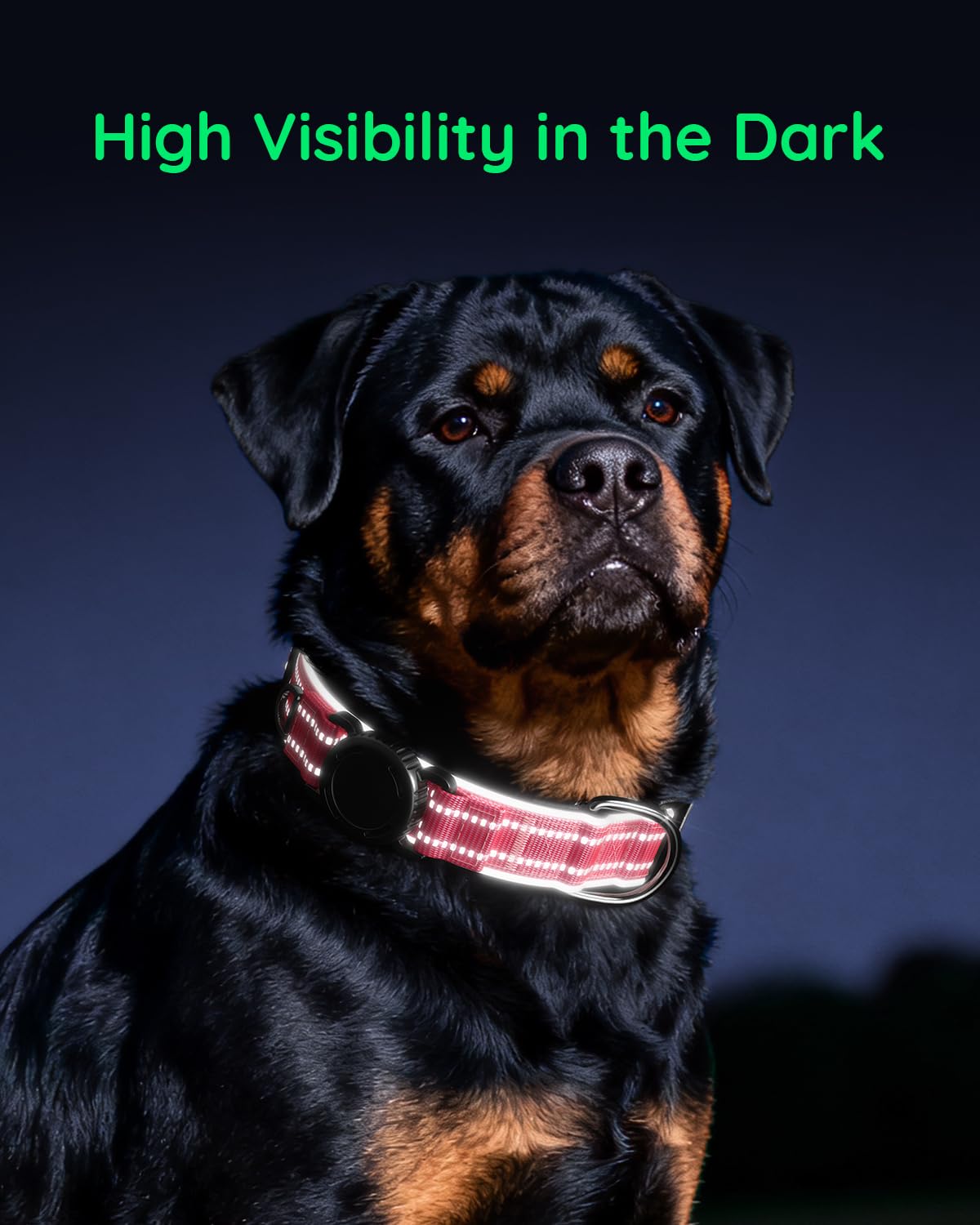 WhoseID Airtag Dog Collar lock-buckle ensures secure fit and easy adjustments.