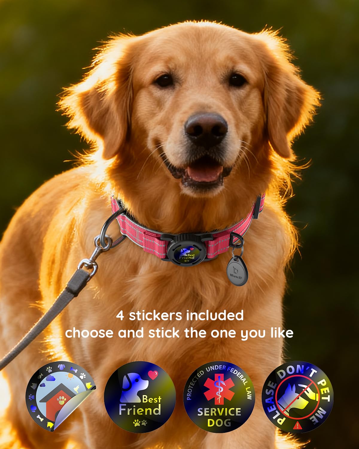 WhoseID Airtag Dog Collar small-d-ring for tags and charms.