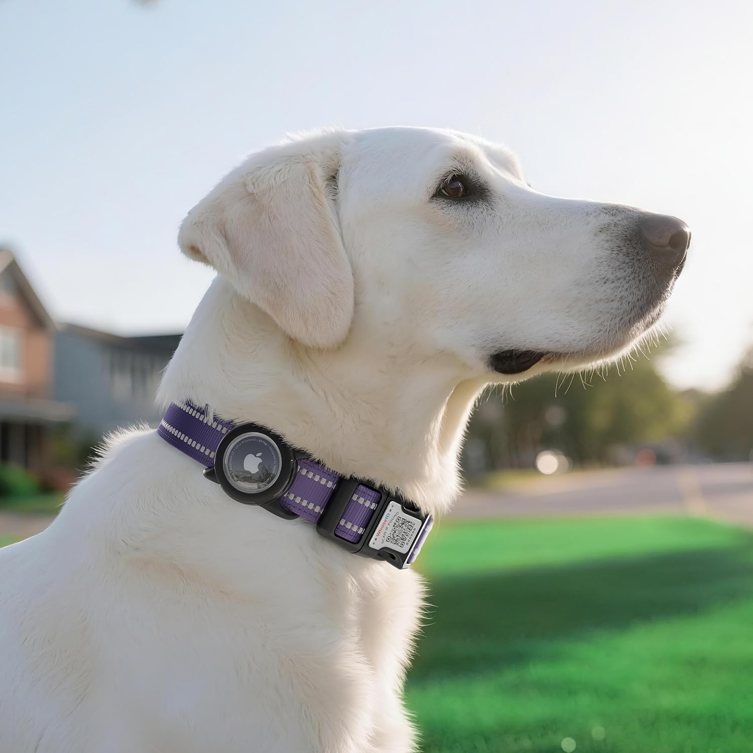 WhoseID purple collar close-up emphasizes soft material and premium look.