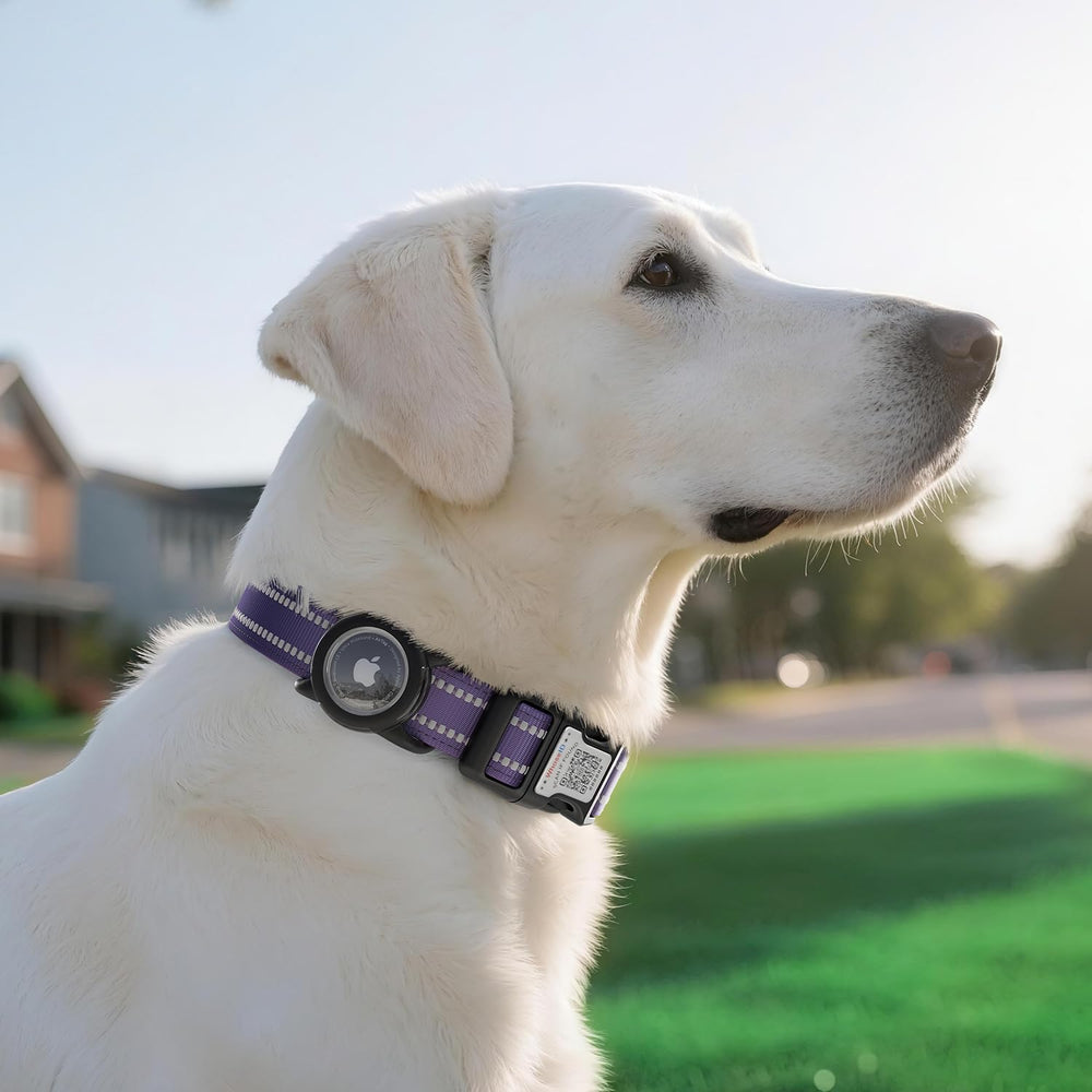 WhoseID purple collar close-up emphasizes soft material and premium look.