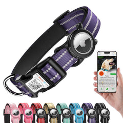 WhoseID dog collar QR buckle close-up showing digital ID for quick recovery.