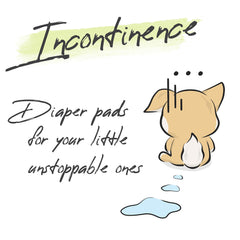 WICKEDPUP overnight diaper liners keep your dog dry during long naps.