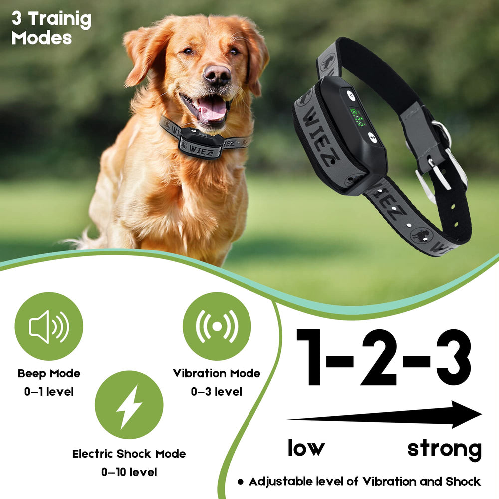 WIEZ warning signal indicator demonstrates timely alerts for pets.