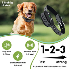 WIEZ warning signal indicator demonstrates timely alerts for pets.
