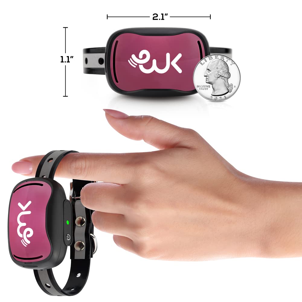 Wiggle Kingdom purple collar LCD display close-up for easy training control.