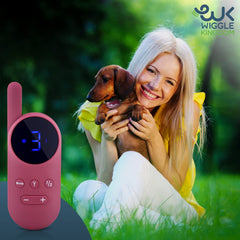 Wiggle Kingdom small-dog collar purple close-up highlights compact, comfy fit.