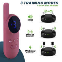 Wiggle Kingdom water-resistant collar with clear LCD display for reliable training in rain.
