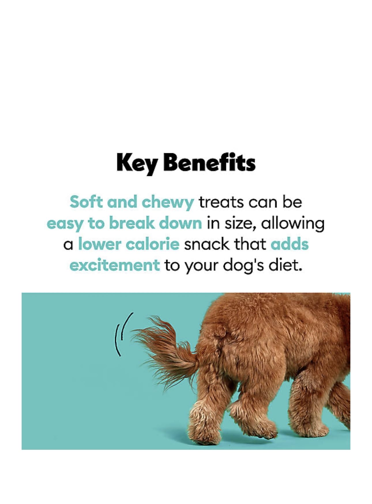 Wiggles & Wags Chewy Bones soft texture close-up, suitable for all ages.