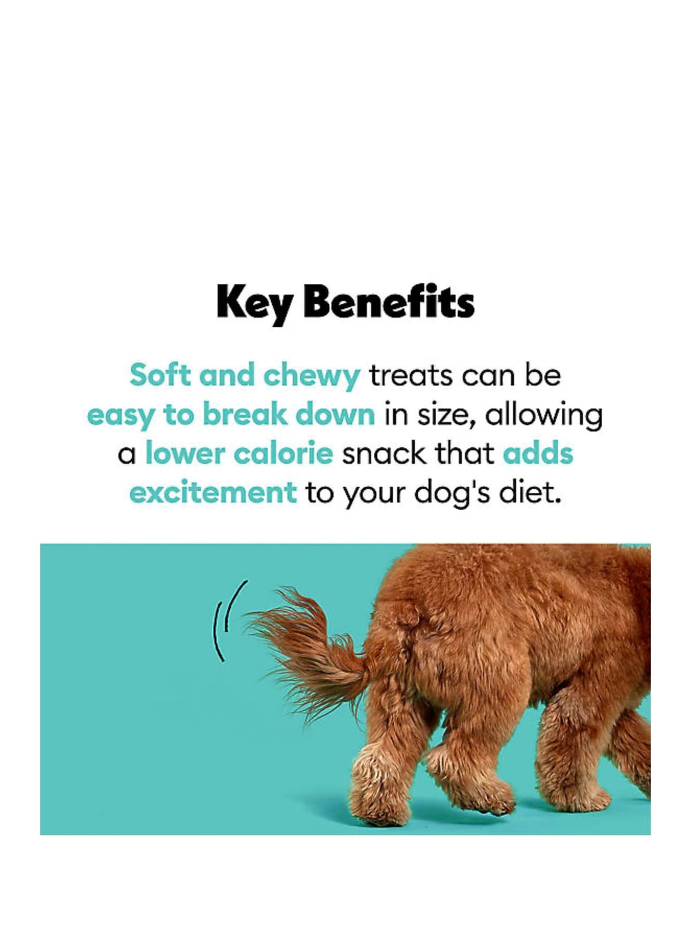 Wiggles & Wags Chewy Bones soft texture close-up, suitable for all ages.