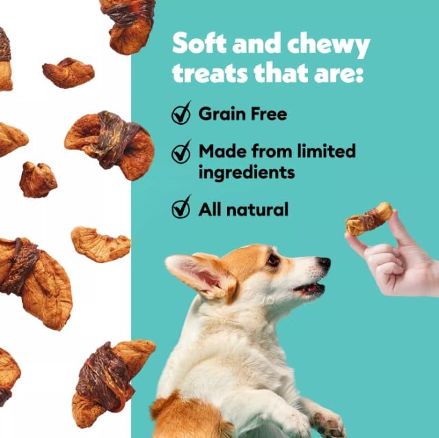 Wiggles Wags Chicken Apple Twists ideal for vacation car rides and long walks