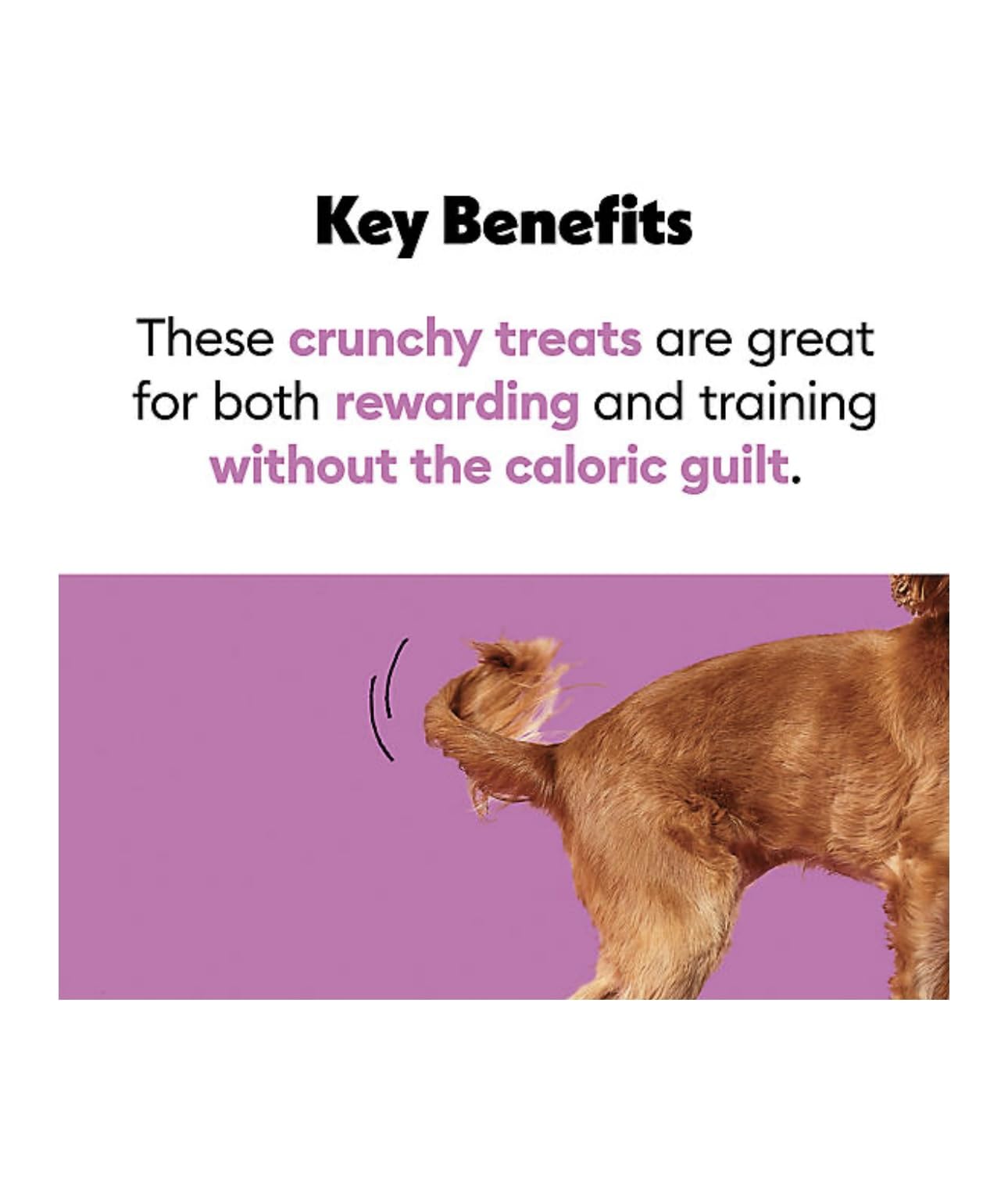 Wiggles & Wags dispenser clip-on design keeps bags handy during strolls.