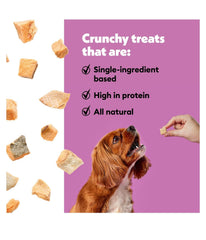 DN Essentials bone-shaped waste bag dispenser included with Wiggles and Wags kit