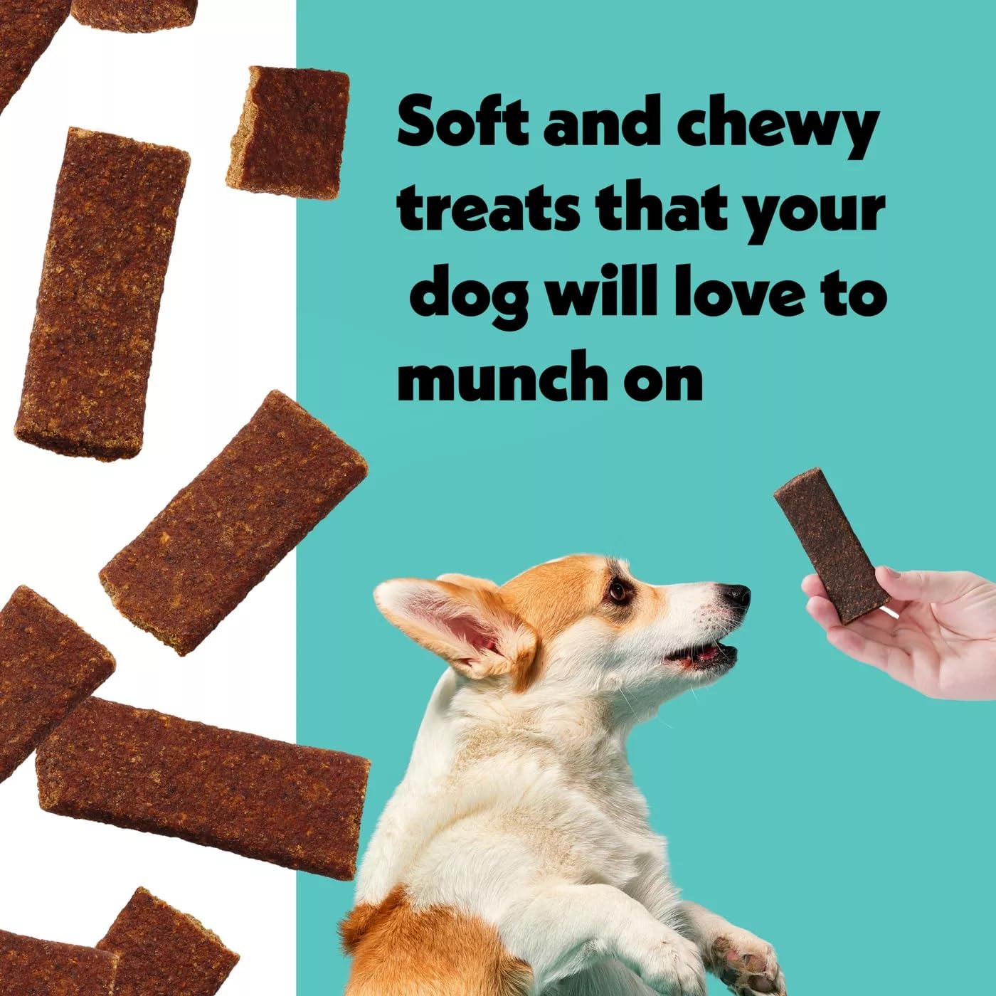 Wiggles & Wags Meaty Bars on a dog's paw, ideal reward during play.