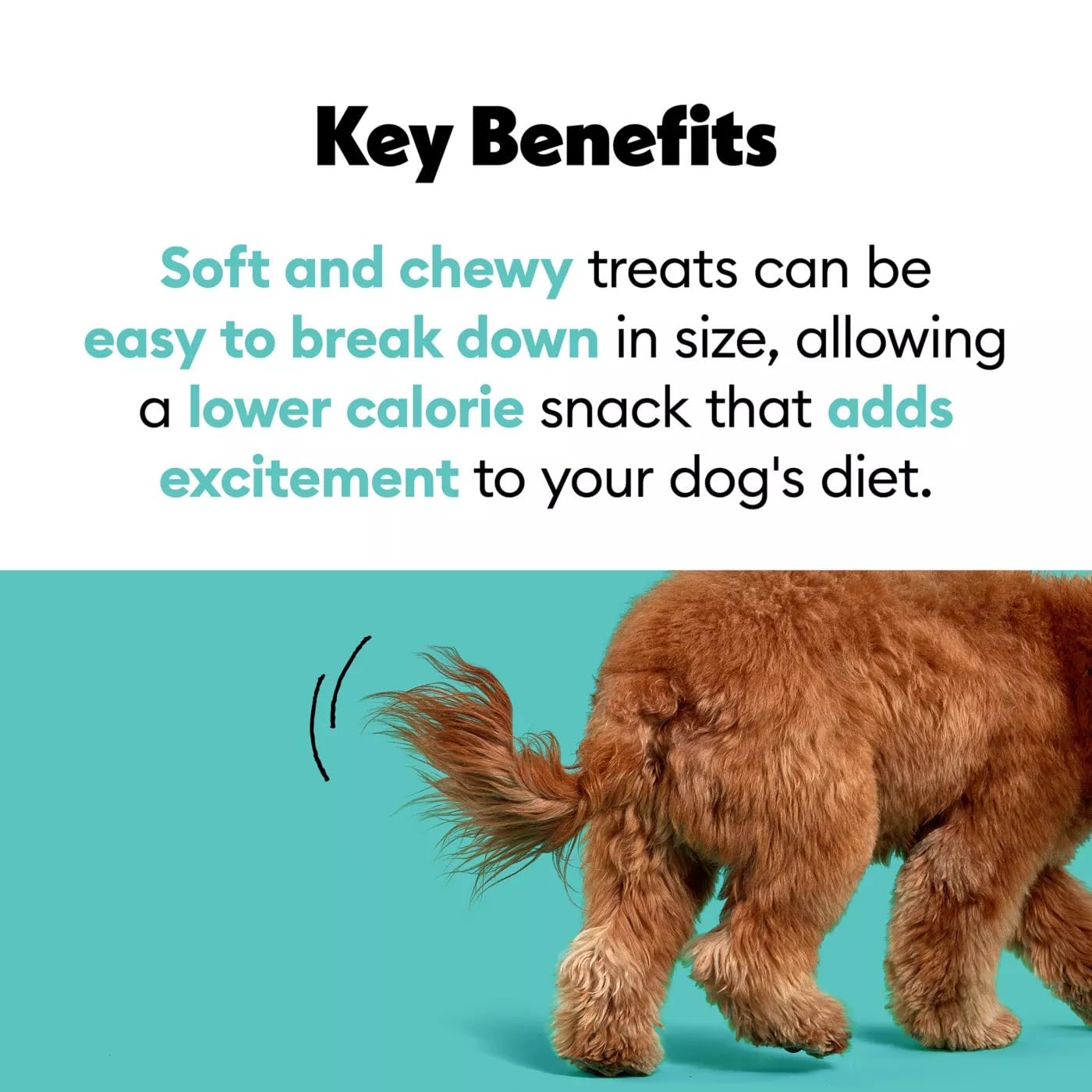 Wiggles & Wags Meaty Bars served in a dish for treat time.